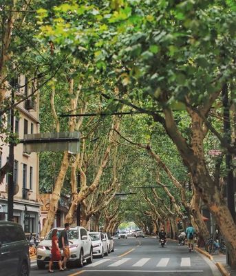 数字文化新篇章 长宁两项目荣获数字文化创意内容应用服务大奖